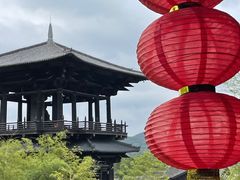 -大唐贡茶院