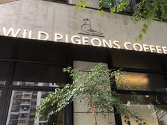 -野鸽子咖啡(中航店)