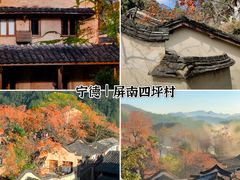 -福道