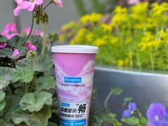 -Blueglass酸奶(华贸购物中心店)