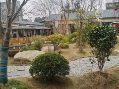 -湘力力小院·鱼汤泡饭(枫林路店)