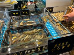 -九月海·海鲜自助(世纪东方店)