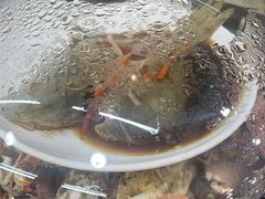 -港畔赶海蒸汽海鲜烧烤自助(仙螺岛店)