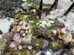 -Zoolung Zoolung动物主题公园(海信广场店)