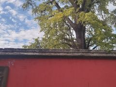 -金堂县云顶石城风景区