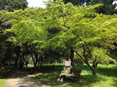 -杭州植物园