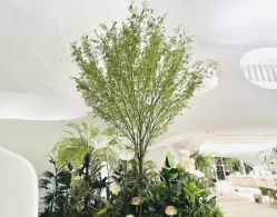 -昆山天美婚礼定制(市区店)