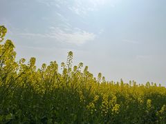 -中国天府农业博览园