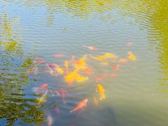 -昆嵛山石门里景区