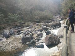 -花岩国家森林公园