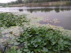 -门城湖公园