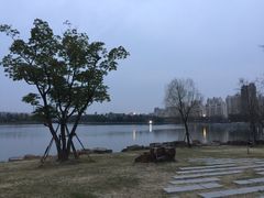-南翔镇银翔湖公园