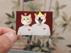 -拾光秀照相馆(石家庄勒泰中心店)