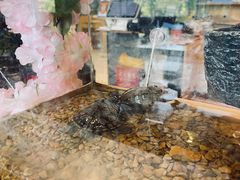 -天一料理(荔枝广场店)
