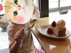 -The Cheesecake Factory 芝乐坊餐厅(王府中環店)