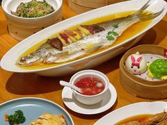 -乐忻皇朝(上海中心大厦店)