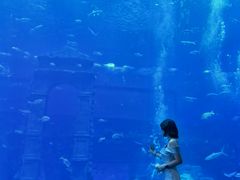 -南昌融创海世界