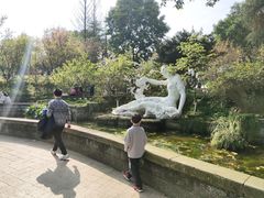 -南山植物园