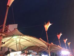 -阜阳站