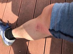 -漩门湾国家湿地公园