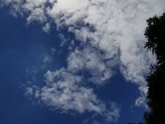 -鱼珠码头(轮渡站)