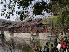 -重庆彩云湖湿地公园