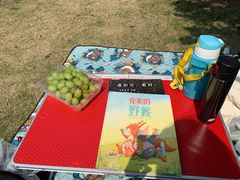 -海珠儿童公园