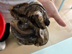 -星奇缘·海鲜餐厅(东山美食地标店)
