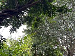 -悦哉·派对·草坪婚礼·围炉煮茶(三圣乡店)