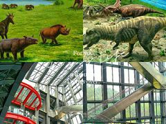 -辽宁古生物博物馆