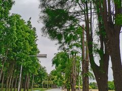 -贡湖湾湿地公园