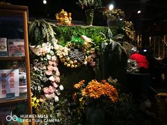 -鉴川·川菜传承(星汇两江店)