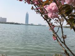 -桐乡凤凰湖