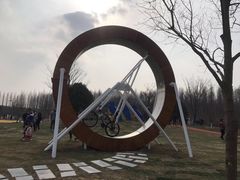 -黄海国家森林公园