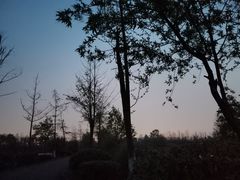 -白鹭湾湿地公园