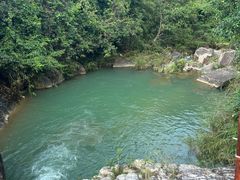 -广州白江湖森林公园