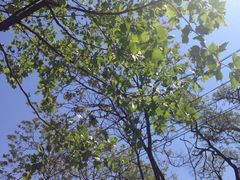 iphone_upload_pic-Rabbit Cafe私房西餐甜点咖啡(栖霞路店)