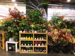 -Olé精品超市(南宁万象城店)