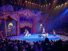 -珠海横琴长隆《卡卡虎奇遇记》