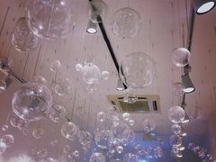 -猫咪博物馆(顶澳仔猫街店)