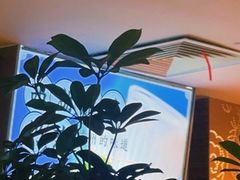 -桂满陇·杭州小馆(巴黎春天浦建店)