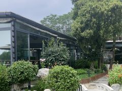 -蘇河湾·新鲁菜·泰山宴(泰山店)