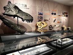 -自贡恐龙博物馆