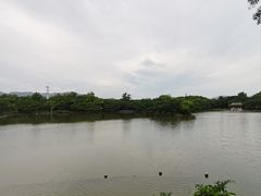 -江心屿景区