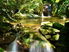 -王顺山国家森林公园