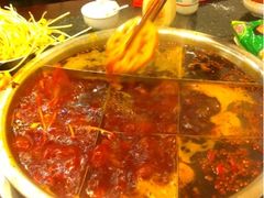 毛肚-邓莽子老火锅(鲁祖庙店)
