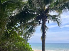 -三亚海棠湾万丽度假酒店