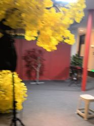 -凤绫儿亲子儿童摄影馆(天津店)