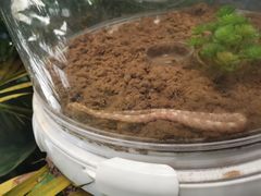 -杭州平安悦坊 PAFC LIVING