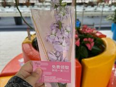 -上海鲜花港